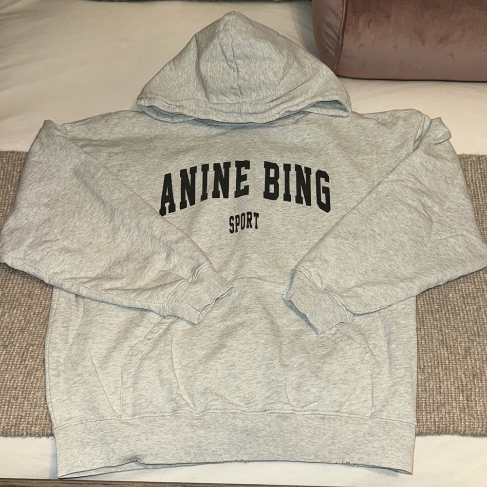 Anine Bing Harvey Hoodie